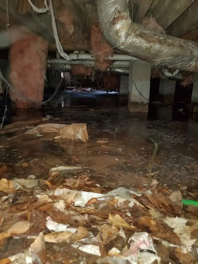 Crawl space flood assessment for Leak Detection & Repair in Rio Rico