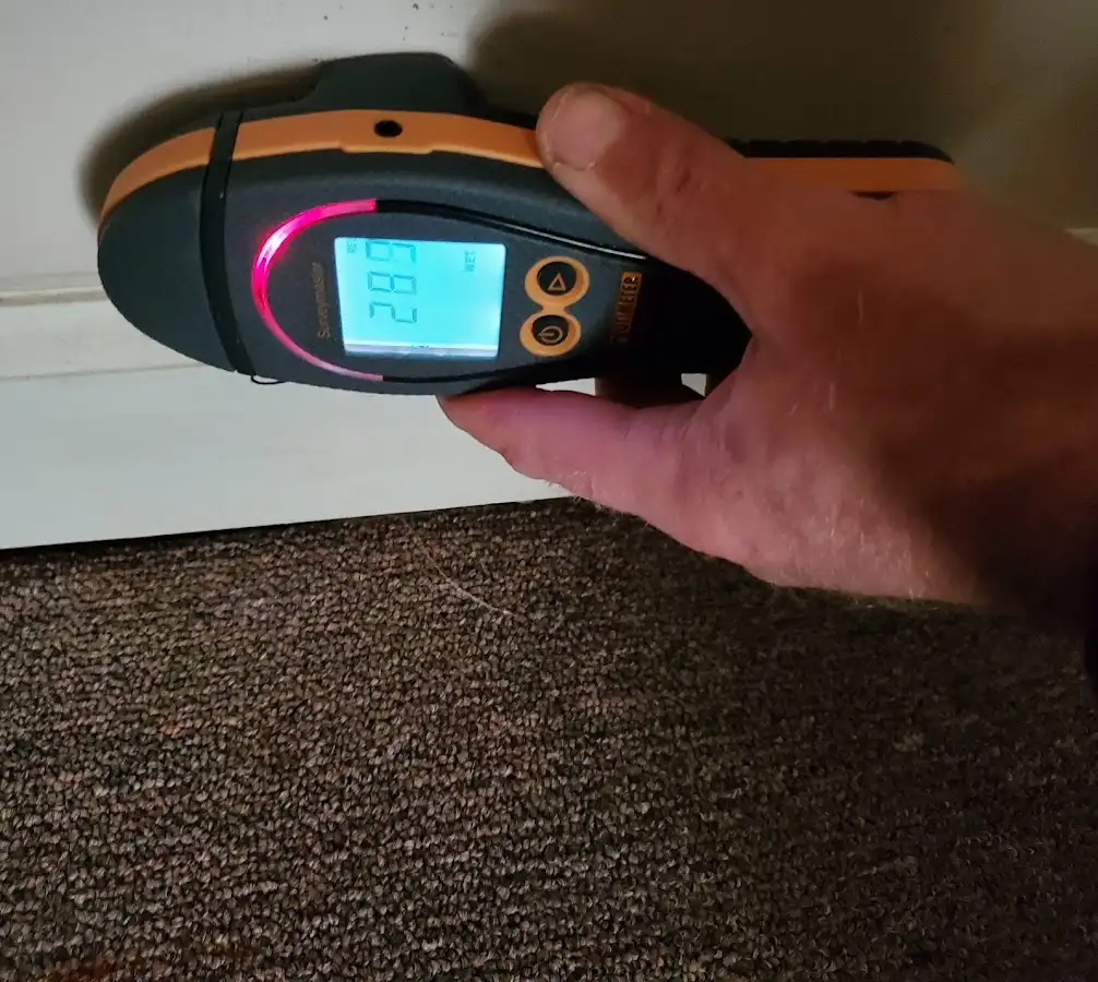 Moisture detection at baseboard during Sewage Cleanup & Sanitation in Rio Rico